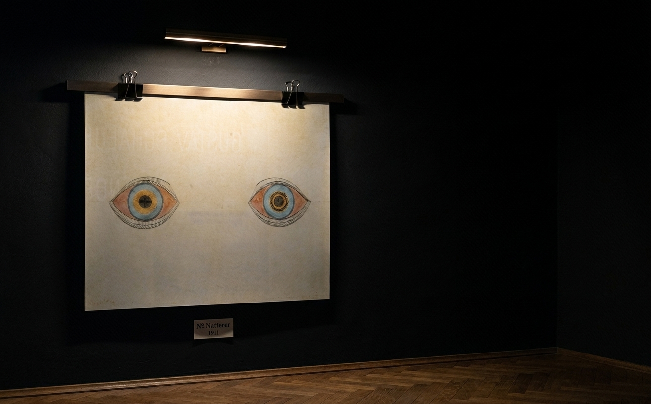 Meine Augen zur Zeit der Erscheinungen · in der Galerie-Installation